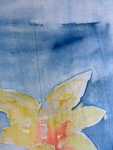 Dream Floral 1 - Daffodil Daydreams