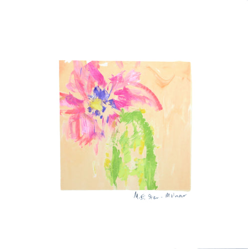 Mini Bloom #113  (cactus flower peach skies)