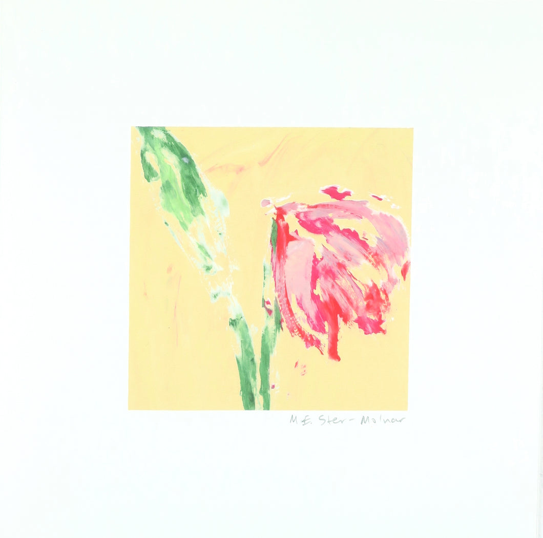 Mini Bloom #89 (Amaryllis peach skies)