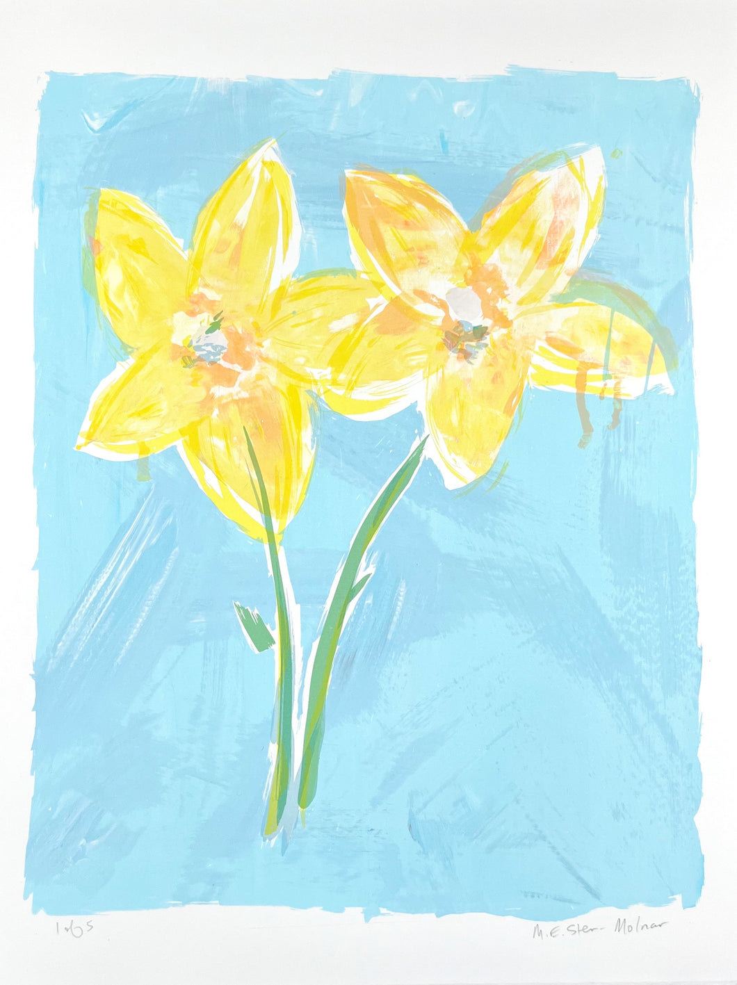 Double Daffodil Love - Sky Blue- varied edition 0f 5