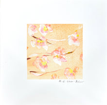 Mini Bloom #160 - Cherry Blossom Faded Orange Sunset