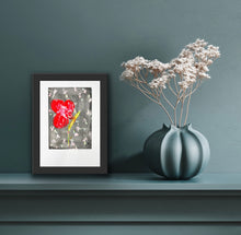 Festival Bloom #1