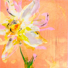 Mini Bloom #174 - Daffodil Orange Sherbert Skies